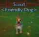 Scout 